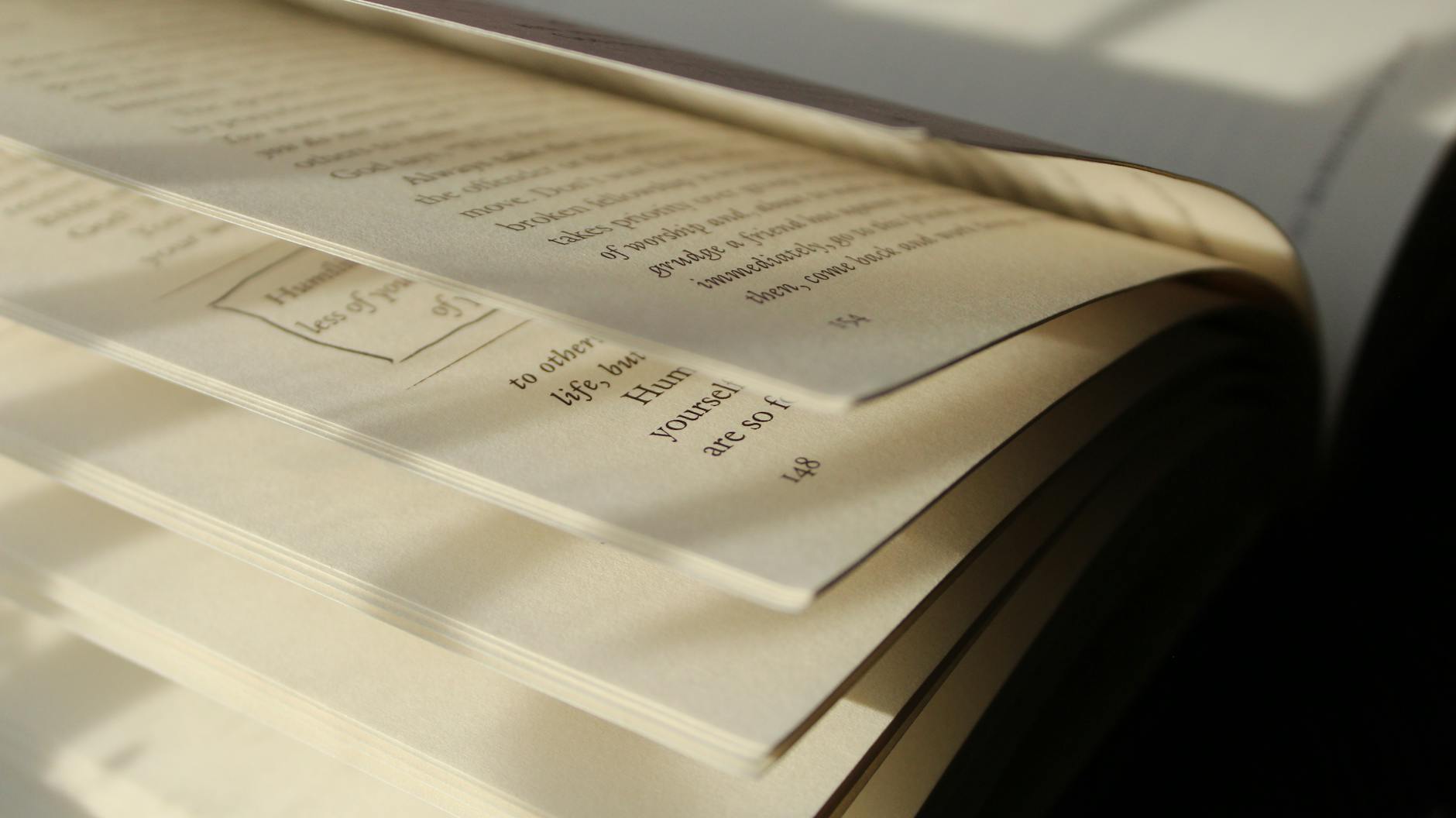Open book in natural light